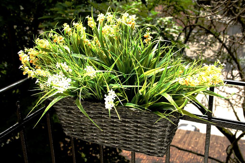 Flowers City Center Apartments 자그레브 객실 사진